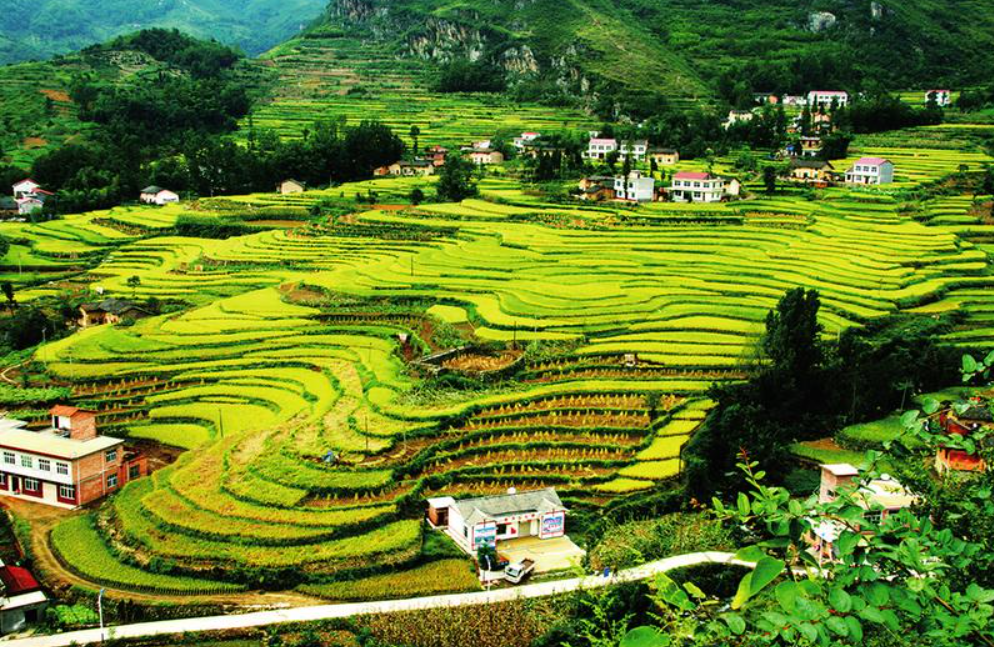 惠州蔬菜配送中心分享報道:陜西為改善農村人居環境持續發力