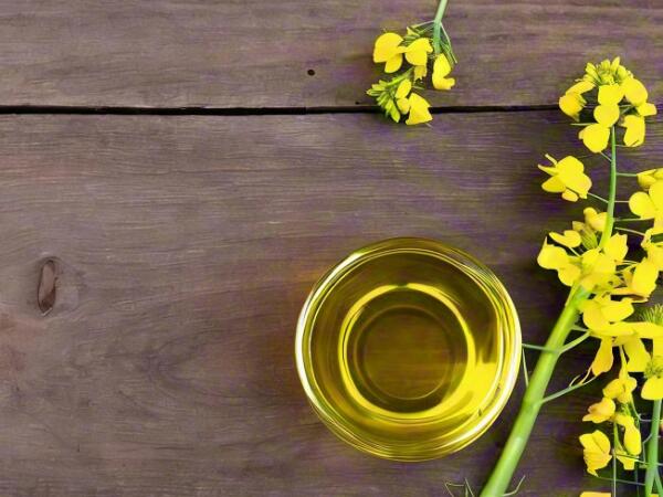 菜籽油凝結成塊了還能吃嗎