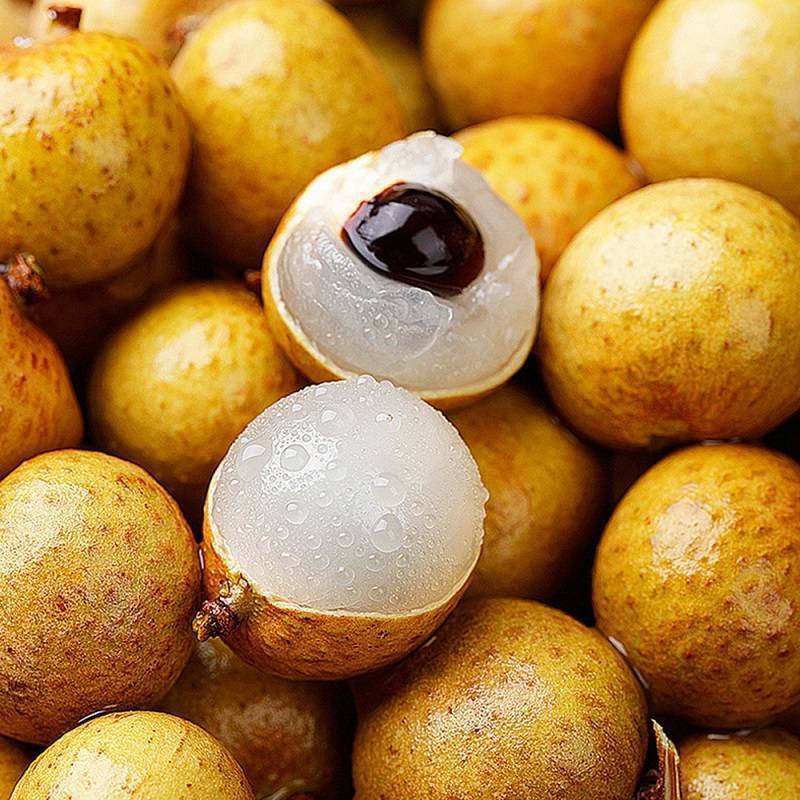 ?桂圓：滋補(bǔ)養(yǎng)生的甜蜜果實(shí)